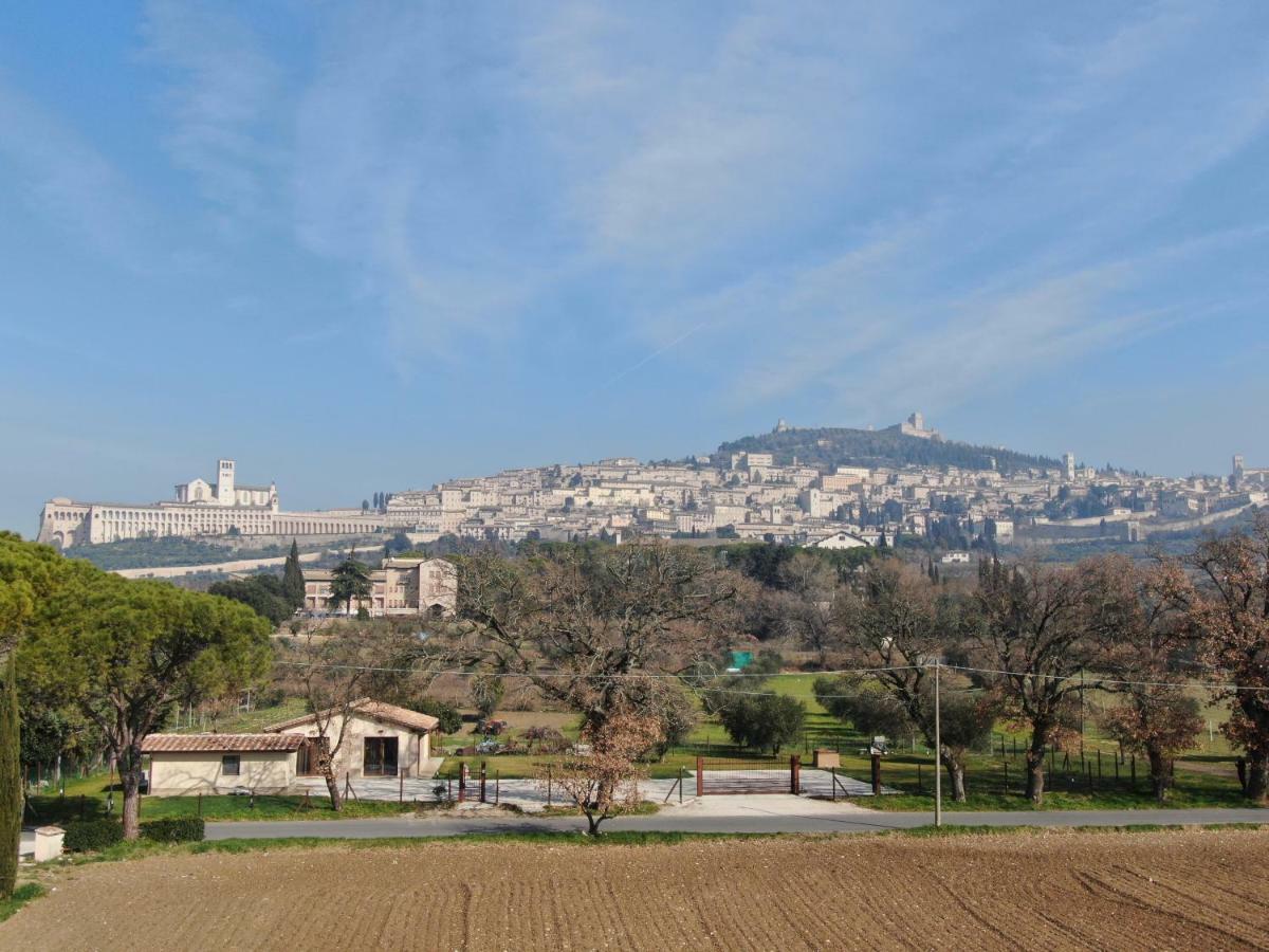Il Granaio Di Rossetti Elisabetta Hotel Assisi Exterior foto